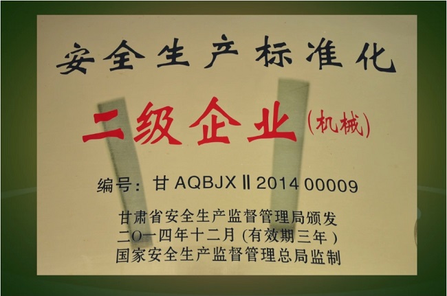 安全生產標準化二級企業(yè).jpg